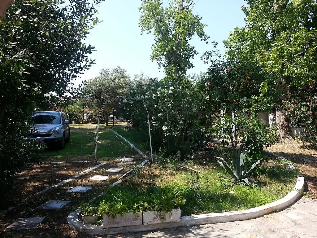 דירות חניוטי Lefka יוון